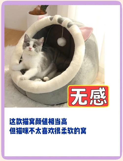 猫窝礼品网代发,让送礼变得像撸猫一样简单!