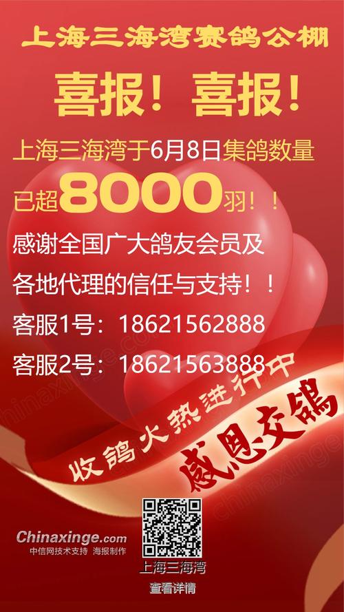 鸽子礼品网代发,让心意飞得更远,传递温暖无距离!
