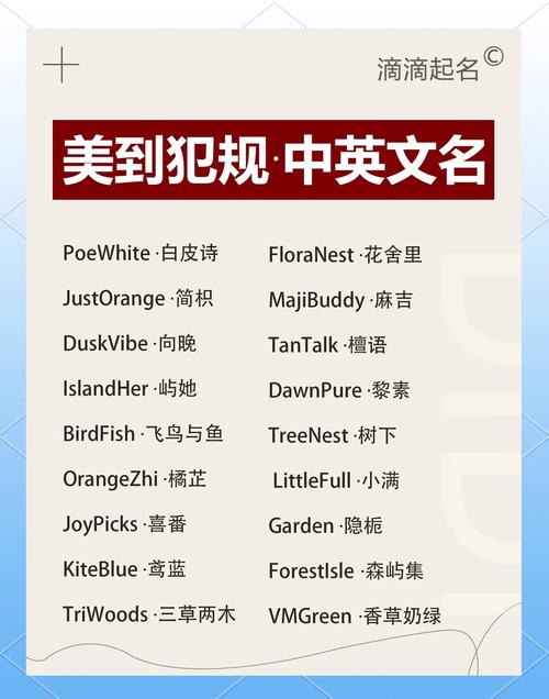 开淘宝网店如何起名字?名字背后的策略与考量