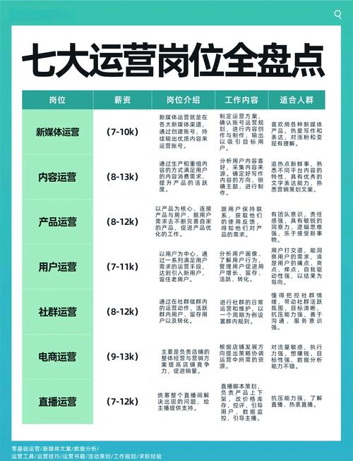 淘宝网店店铺开发者,创新、机遇与挑战并存的角色分析