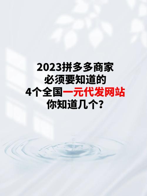 深圳一元礼品代发网站,创新商业模式助力小微企业成长