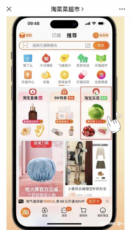 淘在考拉国,淘宝网店的新征程