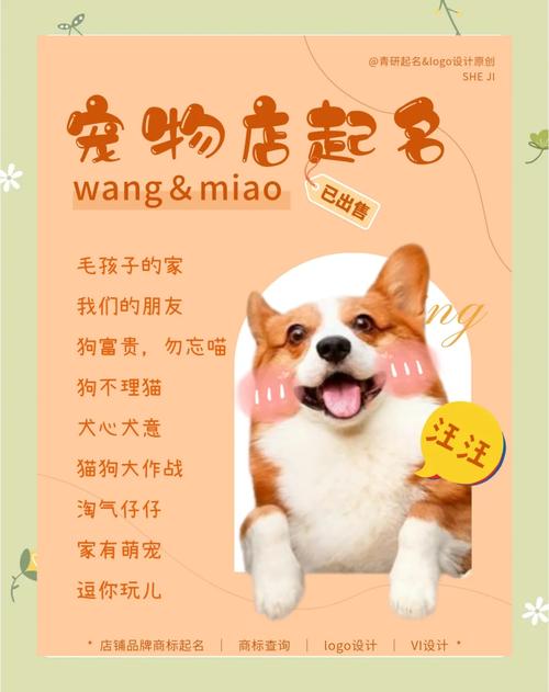 好的宠物淘宝网店名字,打造温馨宠物生活馆的独特魅力