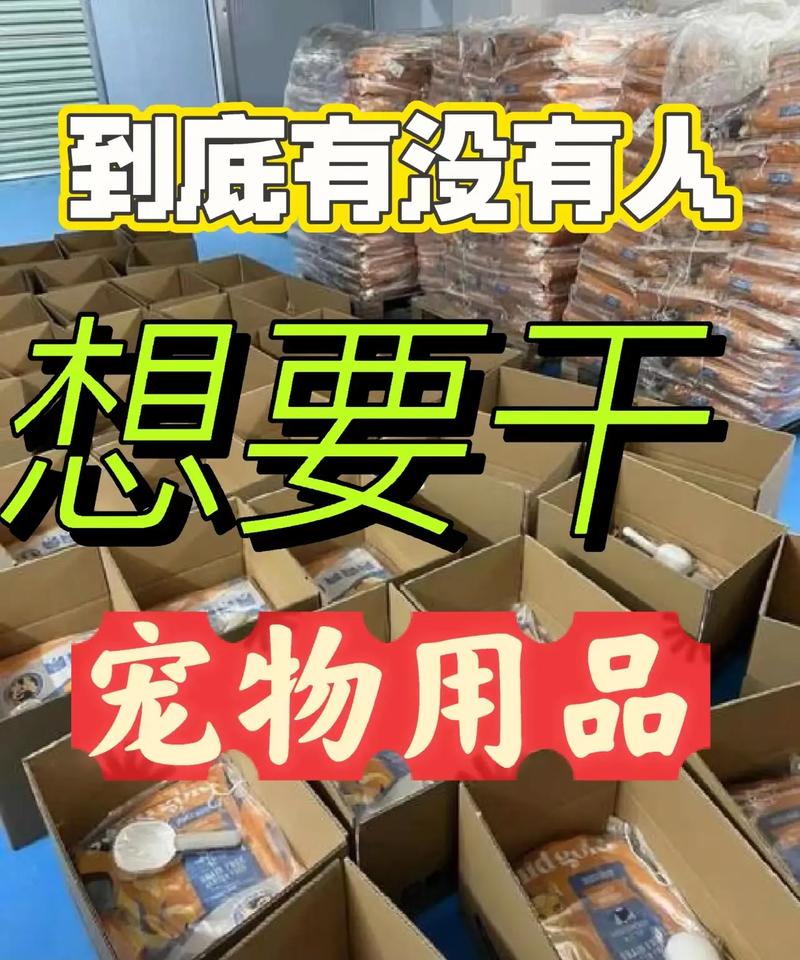 震惊!珠海一元礼品代发网站竟成电商人秘密武器?这波羊毛必须薅!