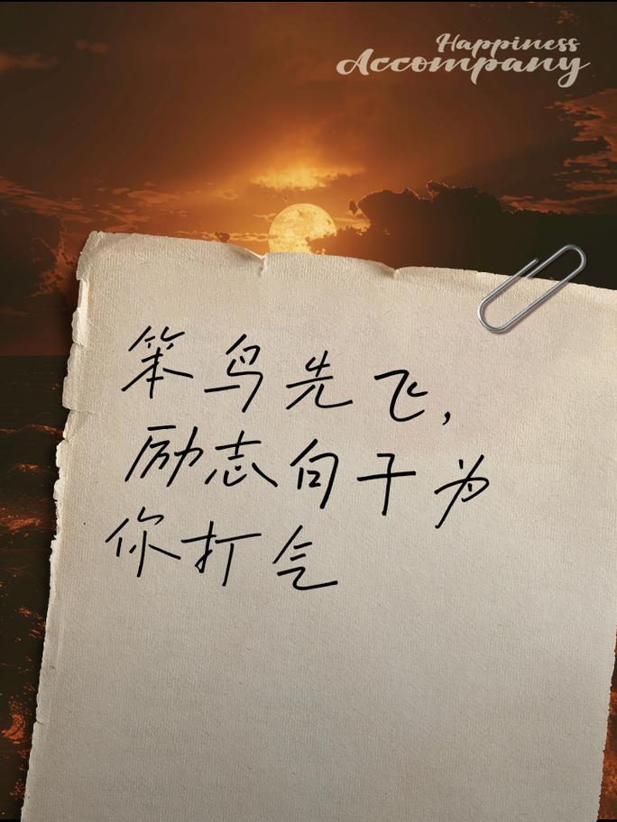 临沂笨鸟先飞淘宝网店,追梦之路,砥砺前行