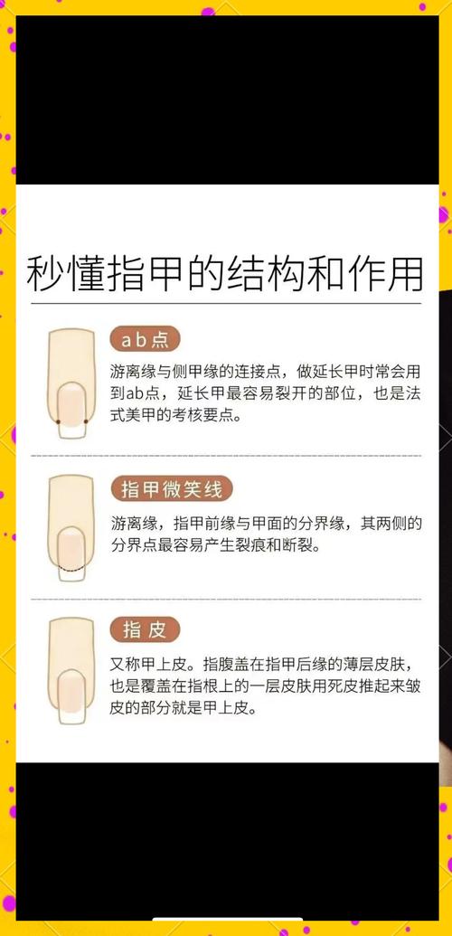 淘宝网店书籍指甲上的世界深度解读