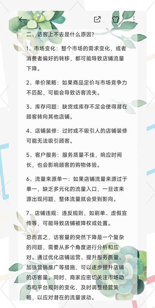 淘宝网店访客洞察,深度解析如何洞悉每一位访客的心意