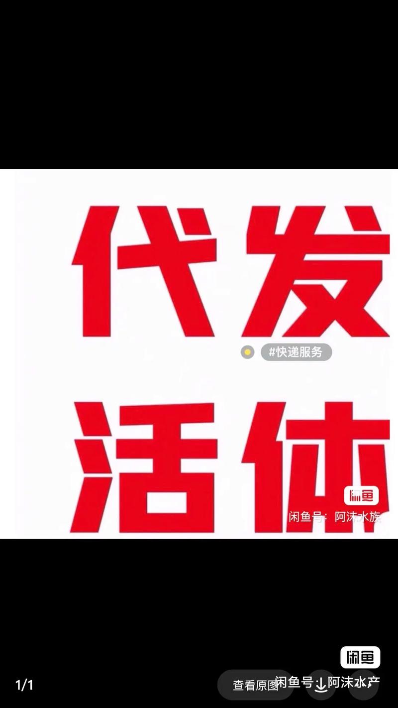 一件代发礼品加盟,开启您的创业新篇章