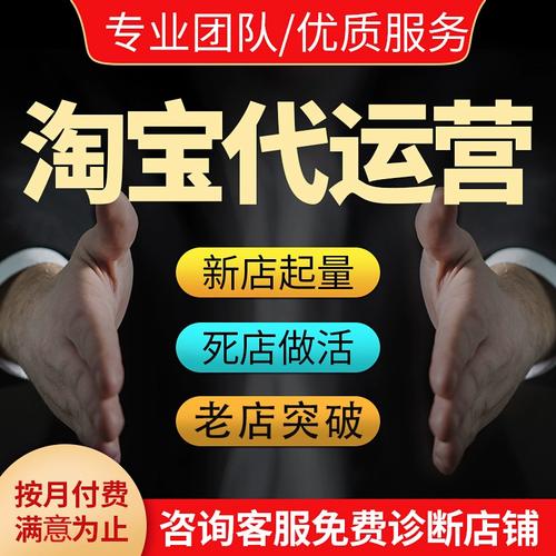 天津淘宝网店托管公司,运营、管理与效益分析